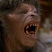 werewolf